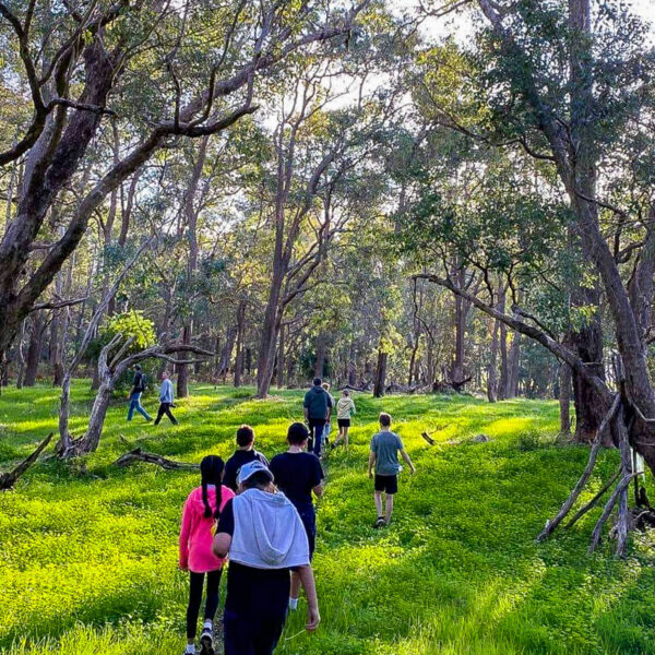 Pemberton Camp Fairbridge | Forest and Environmental Education