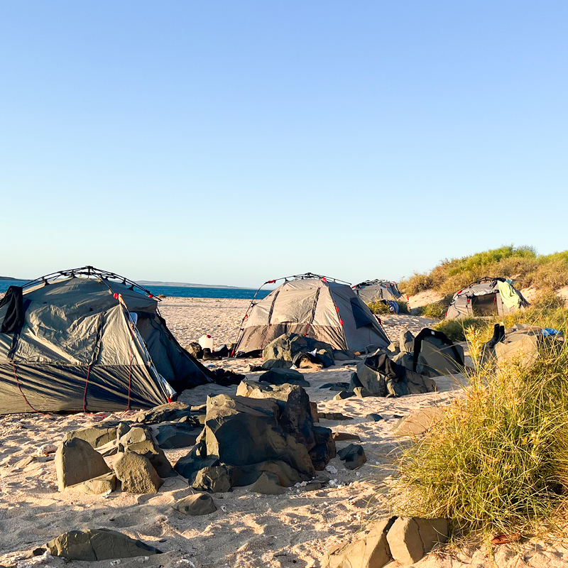 Tents are set up on a sandy beach at Camp Fairbridge for a SeaTrek activity