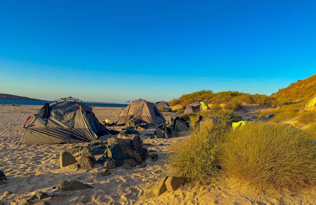 Camp Fairbridge – Camping on a beach area Camp Fairbridge - Camping on a beach area