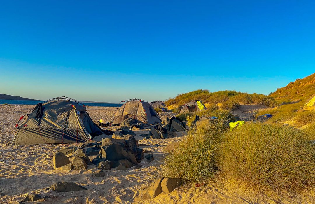 Camp Fairbridge – Camping set up by the beach Camp Fairbridge - Camping set up by the beach